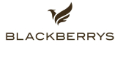 Buy armada blackberry